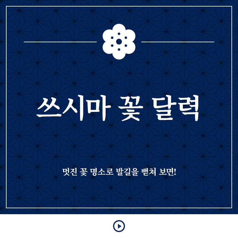 쓰시마 꽃 달력 멋진 꽃 명소 다리를 길게 보면!