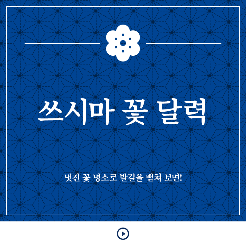 쓰시마 꽃 달력 멋진 꽃 명소 다리를 길게 보면!